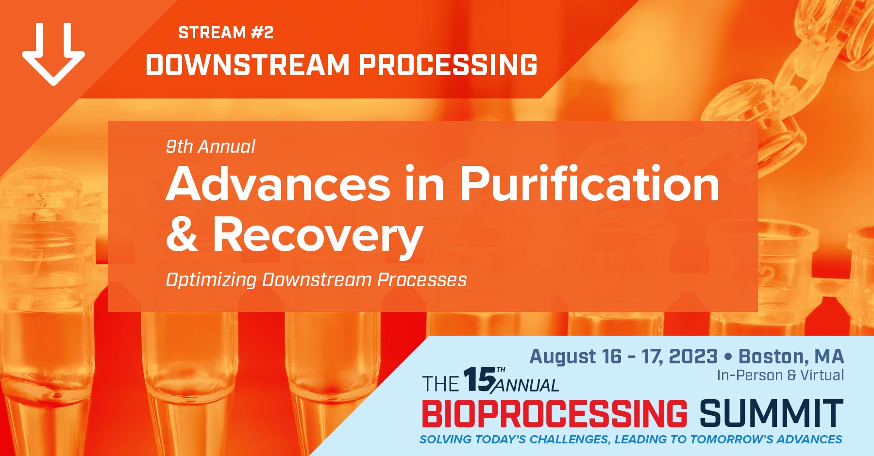 Protein Purification: Design and Scale up of Downstream Processing