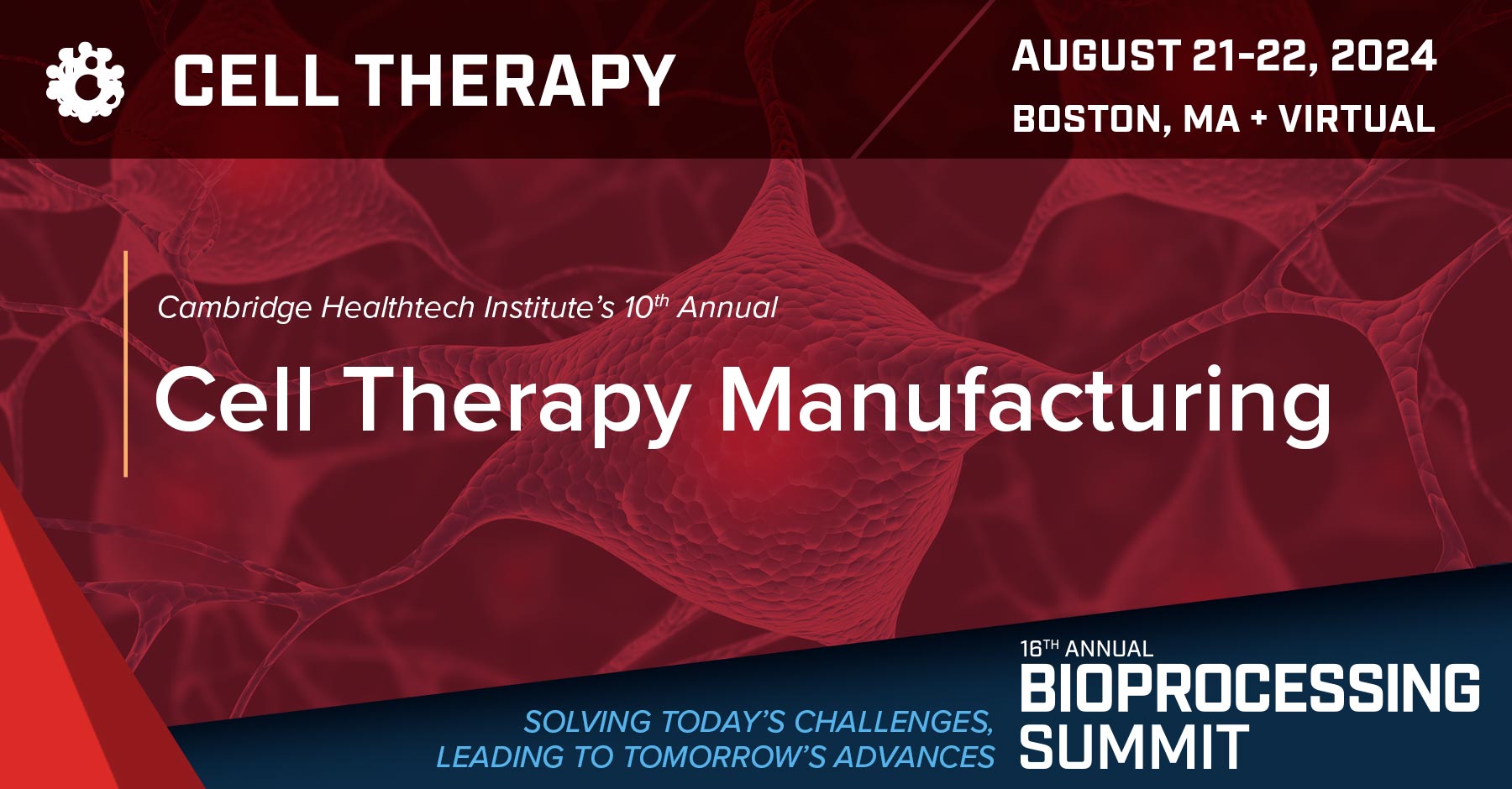 Cell Therapy Manufacturing The Bioprocessing Summit August 1922, 2024